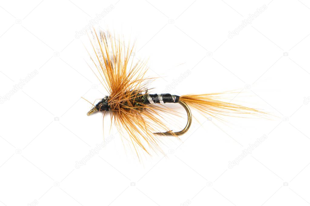 Macro shot colorful fishing fly isolated on a white background. Hand made fly fishing flies. Fluffy fly fishing hook isolated.