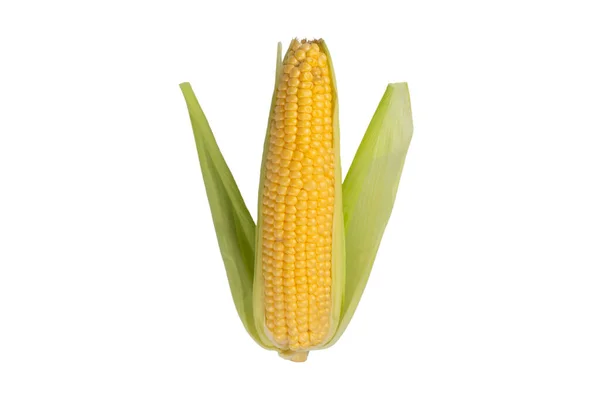 Cob Ripe Sweet Corn Isolated White Background Sweet Corn Cob — Stock Photo, Image