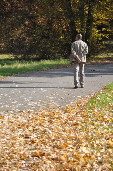 Senior walking in autumn park — Stock Photo, Image