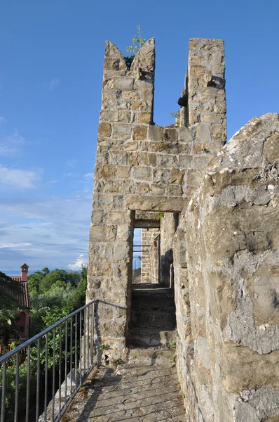 Міські стіни в Піран, Словенія — стокове фото