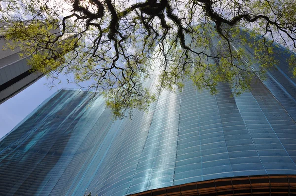 Copan Building, Sao Paulo, Brazília — Stock Fotó