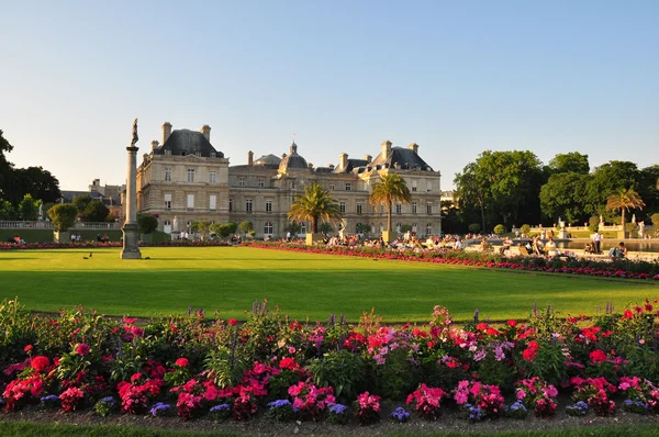 Park with flowers in Paris: Jardin du Luxembourg palace. — Stock Photo, Image