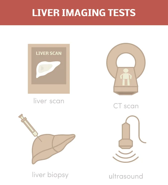 Exames de imagem do fígado — Vetor de Stock