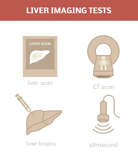 肝イメージングの試験 — ストックベクタ
