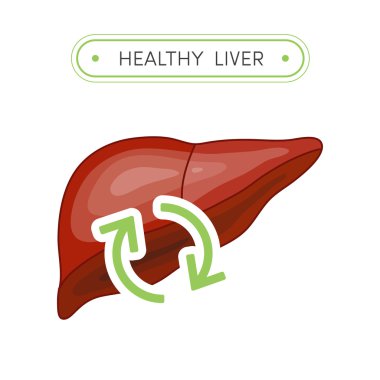 Sağlıklı karaciğer kavramı