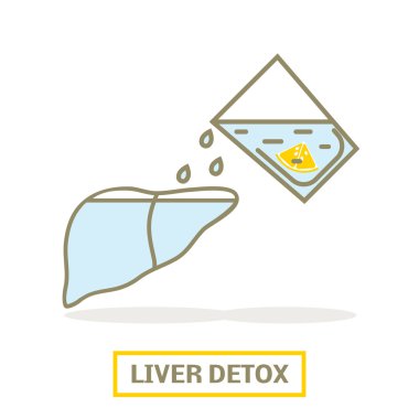 Karaciğer Detoks kavramı