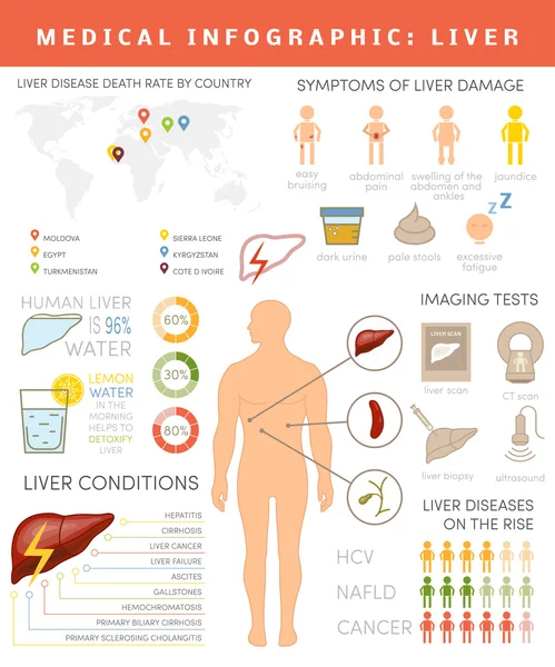 Conjunto de infografía hepática — Archivo Imágenes Vectoriales