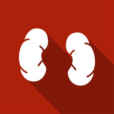 Basit böbrekler simgesi