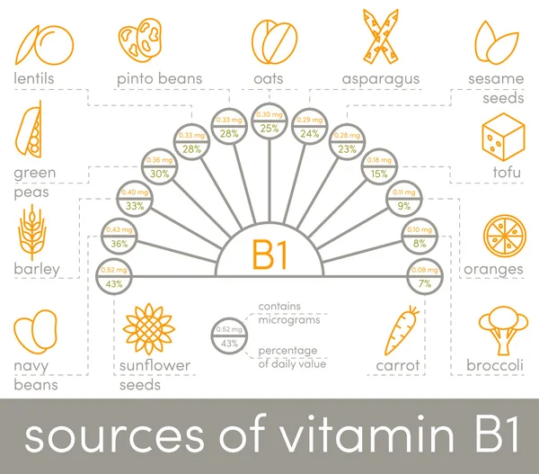 Fuentes de los iconos de la vitamina B1 — Vector de stock