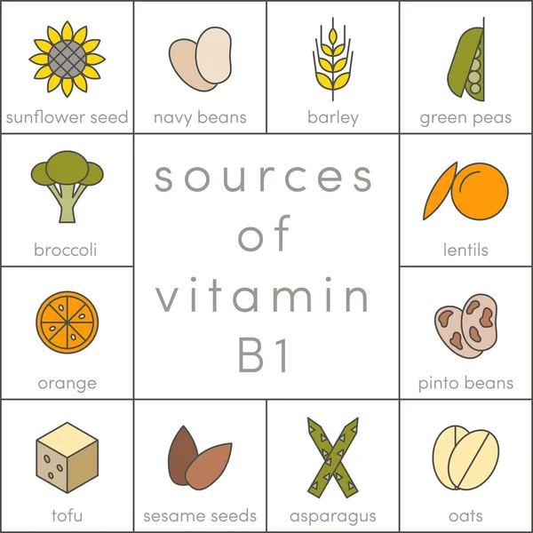 Sources of vitamin B1 icons — Stock Vector