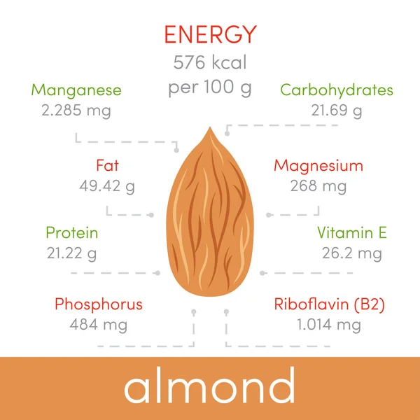 Nutritional value of almonds — Stock Vector