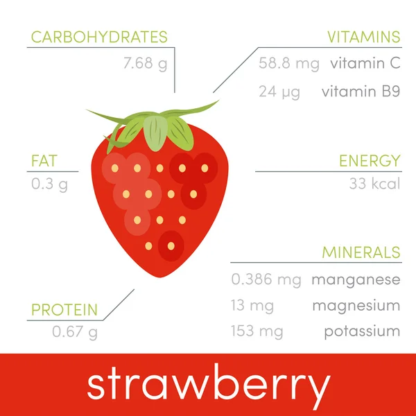 Vitamins and minerals of garden strawberry — Stock Vector © kulyk