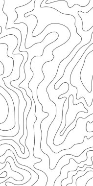 Coğrafi haritadaki Topo çizgileri. Dağların, volkanın, kumulların, okyanus tabanının beyaz bir zemin üzerindeki siyah hatları. Basit bir topoğrafya örneği. Tasarımlar için vektör dikey zemin.