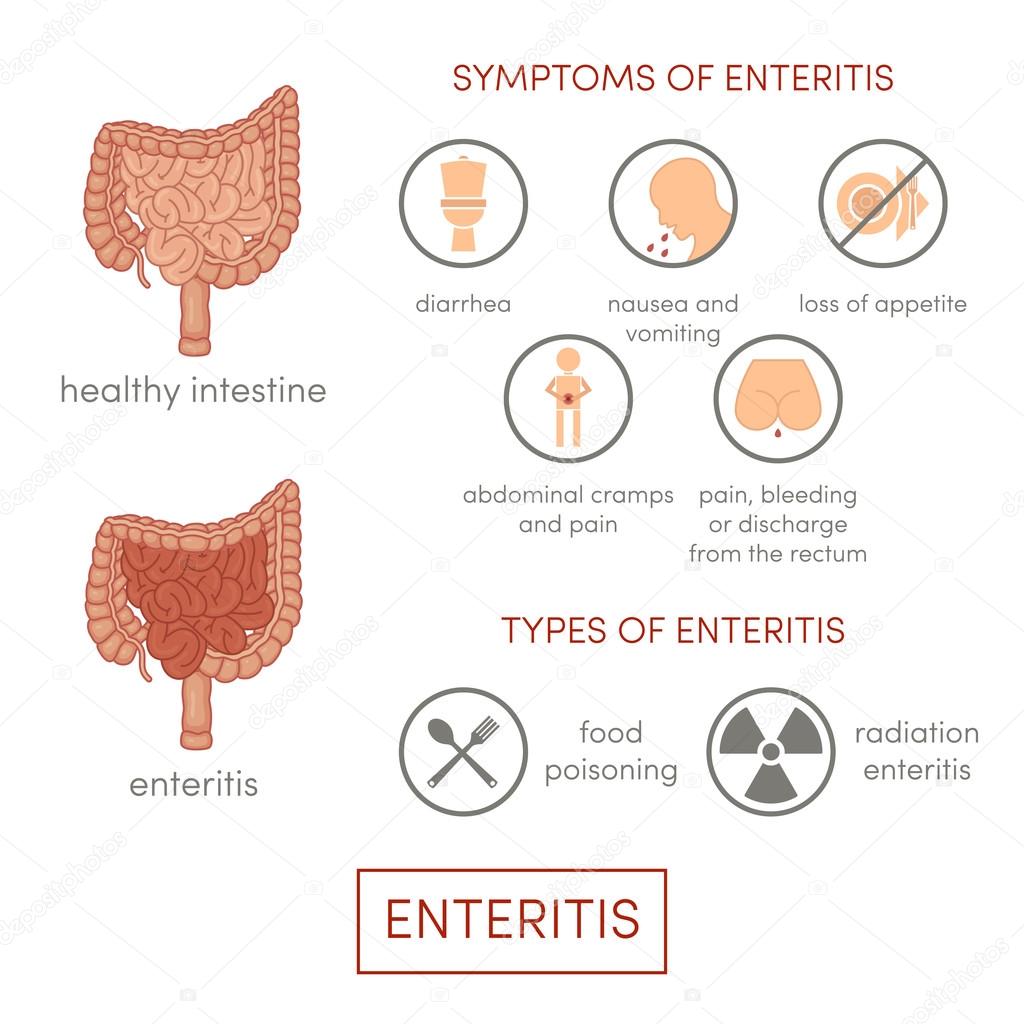 Symptoms of enteritis cartoon