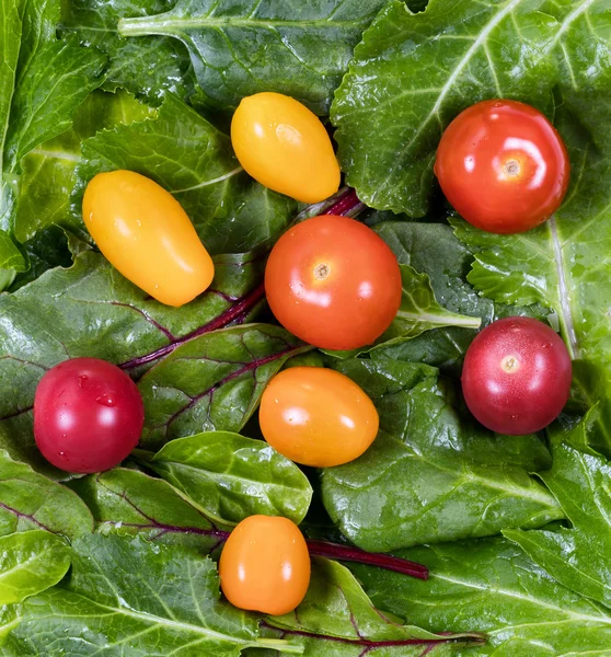 Свежий салат из зеленых листьев и помидоры в оформлении рамы — стоковое фото