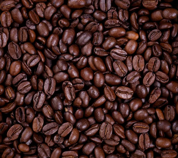 Freshly roasted coffee beans in fill frame layout — Stock Photo, Image