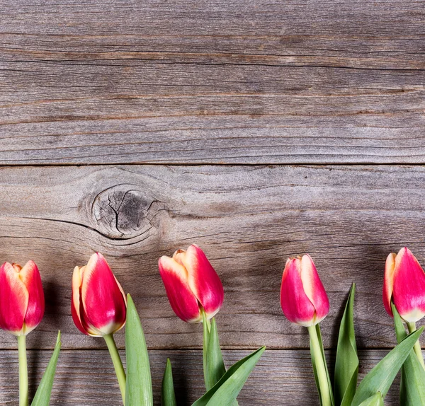 Hermosos tulipanes en madera rústica —  Fotos de Stock