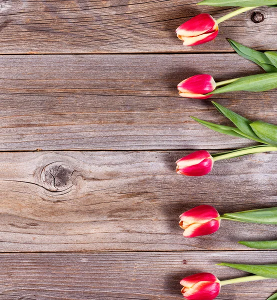 Piękne tulipany na podkreślił drewna — Zdjęcie stockowe