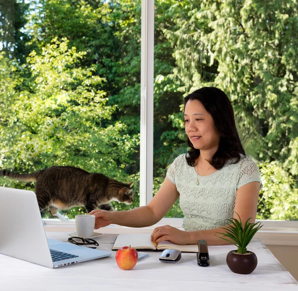 Kvinna som arbetar hemma med dagsljus fönster och katt bakom henne — Stockfoto