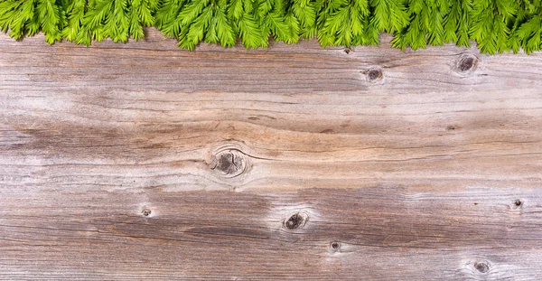 New fir tree branches on rustic wood board for holiday season — Stock Photo, Image