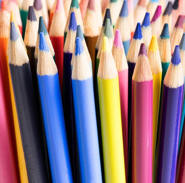 Close up of colorful pencil tips — Stock Photo, Image