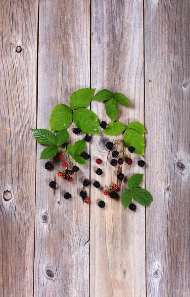 Organic wild blackberries on stressed wooden boards — Stock Photo, Image