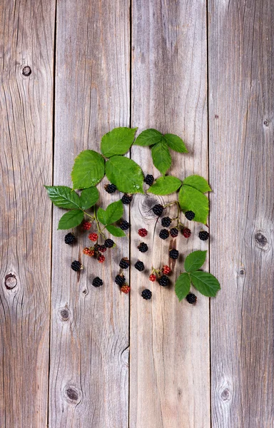 Moras silvestres orgánicas sobre tablas de madera estresadas —  Fotos de Stock