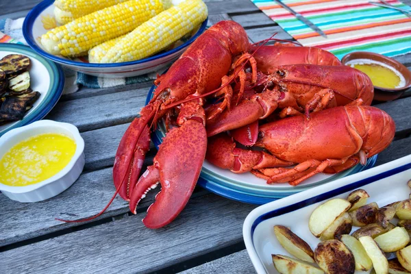 Steamed whole lobsters ready to server for dinner — Stock Photo, Image