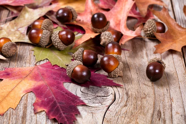 Foglia autunnale stagionale e decorazioni di ghiande su cinghiale di legno rustico — Foto Stock