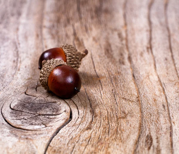 Bolotas deitadas em tábuas de madeira rústica — Fotografia de Stock