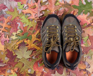 Sonbahar yaprakları ve ahşap yeni yürüyüş botları 