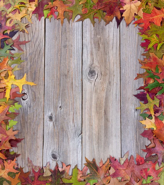 Feuilles d'automne sur des planches rustiques en bois — Photo