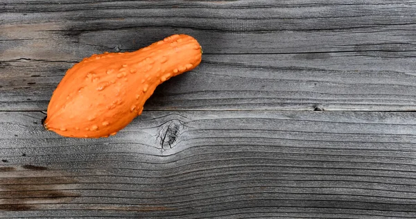 Una Zucca Arancione Zucca Tavole Legno Rustiche Stagione Autunnale — Foto Stock