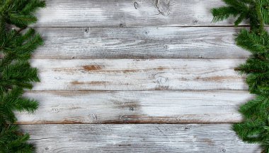 Bitmeyen yeşil dalları olan basit bir Noel tatili geçmişi 