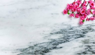 Taş zeminde parlak bahar kiraz çiçekleri açan Paskalya konseptiniz kutlu olsun.