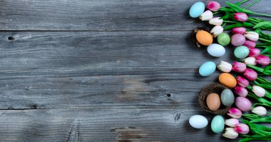Lale çiçeklerinin ve renkli yumurtaların sağ kenarındaki kırsal tahtalara yuva yapmış Paskalya tatili kavramınız kutlu olsun.  