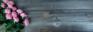 Kırsal kesimdeki açık pembe güller anneler günü konsepti için düz bir formatta.  