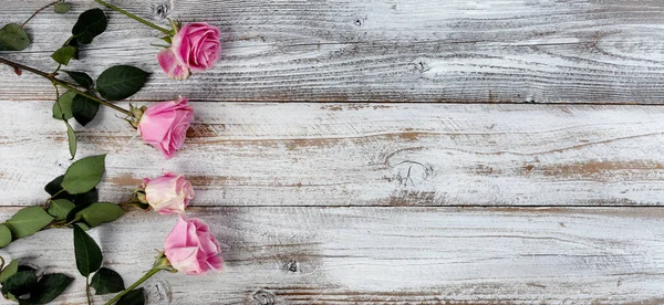 Véritables Fleurs Roses Sur Côté Gauche Des Planches Rustiques Bois — Photo