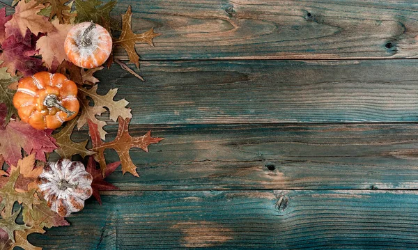 Hojas Otoño Descoloridas Calabazas Tablones Madera Azul Rústico Para Fondo — Foto de Stock