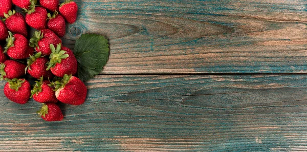 Frische Bio Erdbeerfrüchte Auf Verblichenen Blauen Holzdielen Blick — Stockfoto