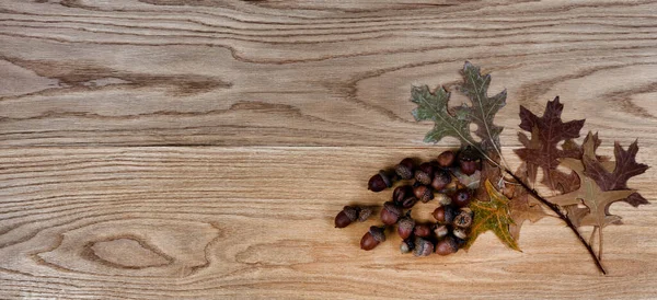 Gedroogde Eikenbladeren Eikels Massief Amerikaans Eikenhout Planken Voor Industrieel Concept — Stockfoto