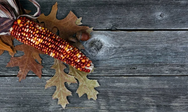 Seizoensgebonden Maïs Eikels Eikenbladeren Rustieke Houten Plank Achtergrond Voor Thanksgiving — Stockfoto