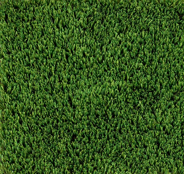 Green Artificial Turf Grass Overhead View — Stock Photo, Image