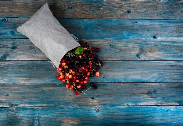 Freshly Picked Organic Mixed Cherries Spilling Out Burlap Bag Blue — Stock Photo, Image