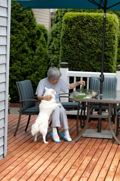 Mujer Mayor Disfrutando Compañía Perro Mascota Mientras Prepara Hierbas Afuera — Foto de Stock