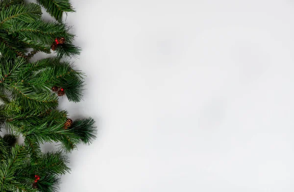 Fir Träd Grenar Vit Bakgrund För God Jul Eller Glad — Stockfoto