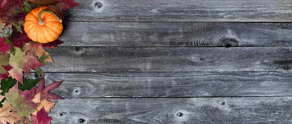 Pojedyncze Prawdziwe Całe Liście Dyni Liści Wietrznych Drewnianych Deskach Jesienny — Zdjęcie stockowe