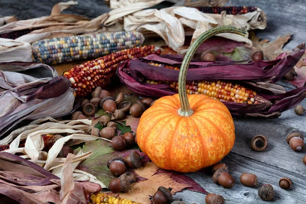 Single Real Whole Pumpkin Corn Acorns Foliage Leaves Weathered Wooden — Stock Photo, Image