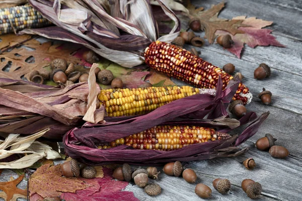 Kukorica Makk Lombozat Lezárása Időjárás Álló Deszkákon Hálaadási Háttér Őszi — Stock Fotó