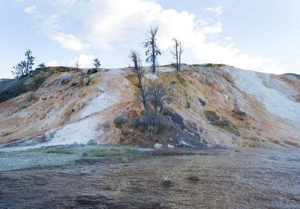 Sources thermales Mammouth dans la partie nord de Yellowstone National Par — Photo